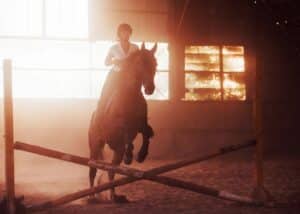 Header Image Resized